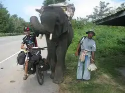 carradice ruta solidaria alforjas